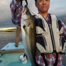 アマテラス 釣果