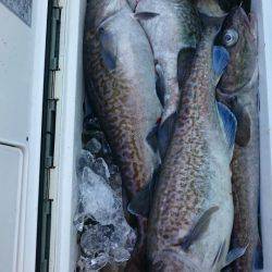 海龍丸（石川） 釣果