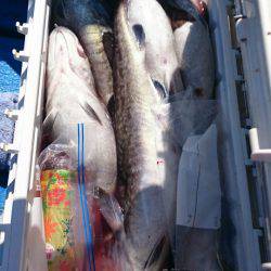 海龍丸（石川） 釣果