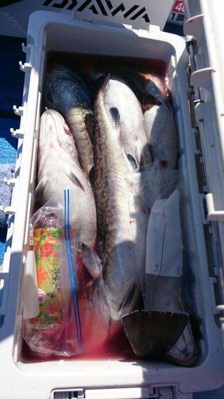 海龍丸（石川） 釣果
