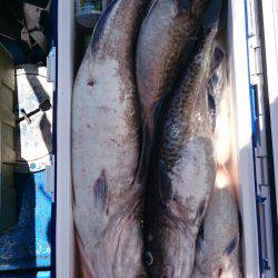 海龍丸（石川） 釣果