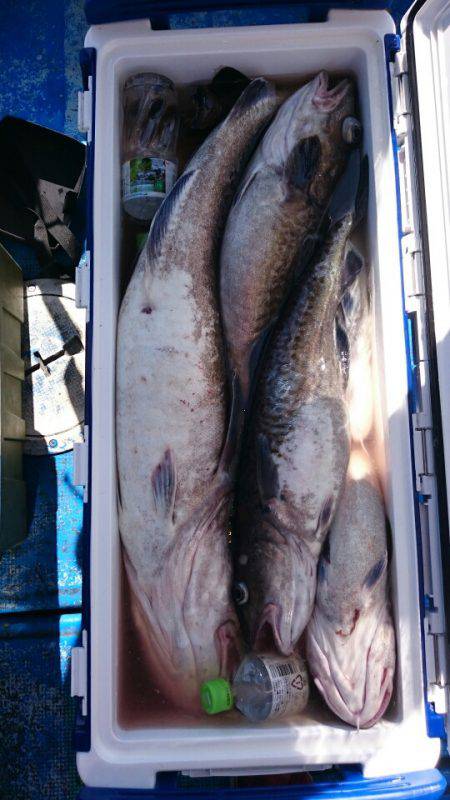 海龍丸（石川） 釣果