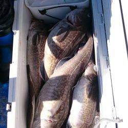 海龍丸（石川） 釣果