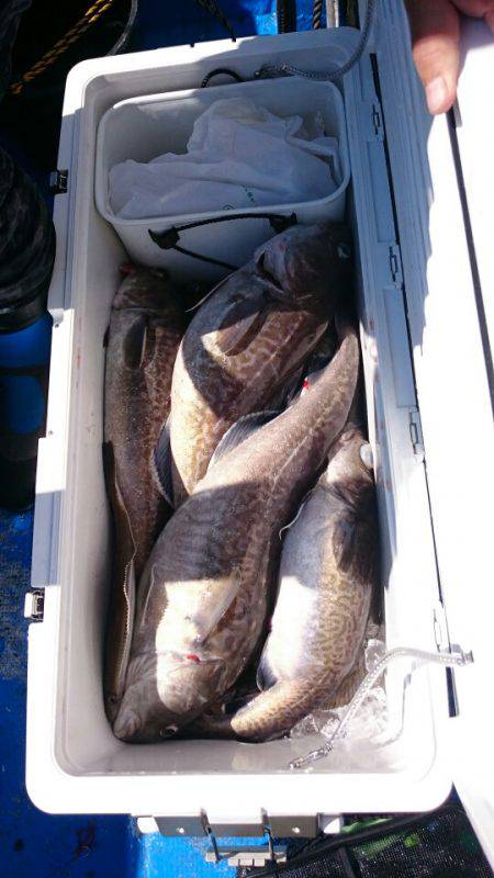 海龍丸（石川） 釣果