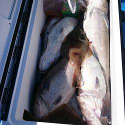 海龍丸（石川） 釣果