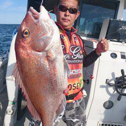 ARCADIAⅡ (アルカディアⅡ) 釣果