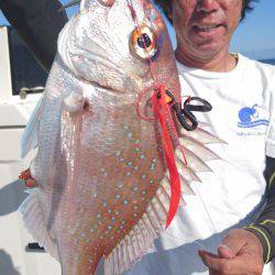 ARCADIAⅡ (アルカディアⅡ) 釣果