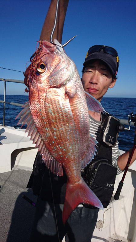 ARCADIAⅡ (アルカディアⅡ) 釣果