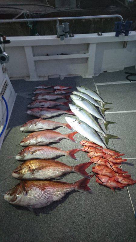 ARCADIAⅡ (アルカディアⅡ) 釣果