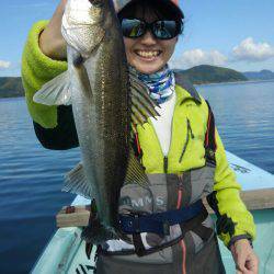 アマテラス 釣果