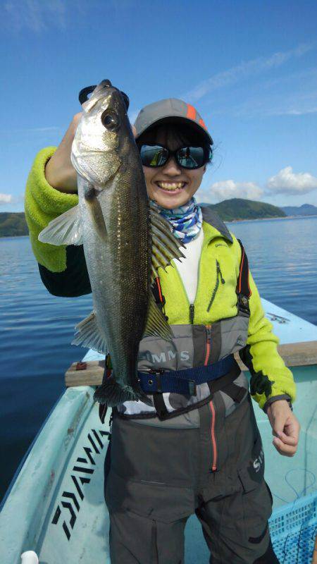 アマテラス 釣果