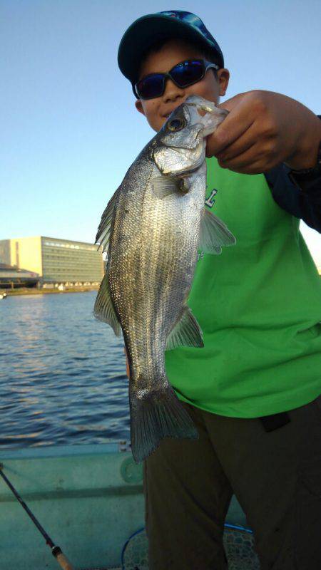 アマテラス 釣果