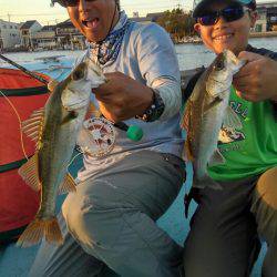 アマテラス 釣果