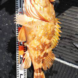 第二龍勢丸 釣果