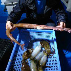 第三共栄丸 釣果