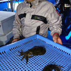 第三共栄丸 釣果