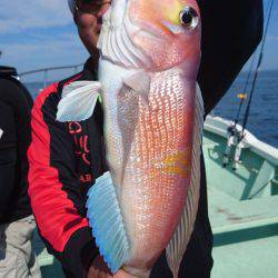 あみや渡船 JIGBOY 釣果