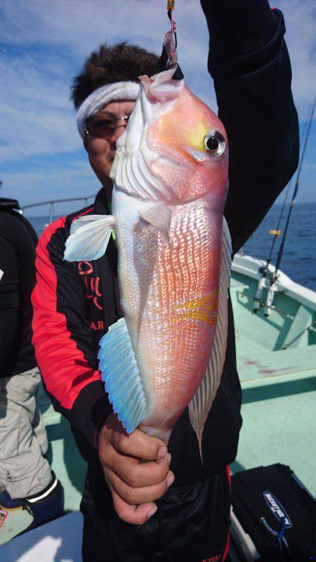 あみや渡船 JIGBOY 釣果