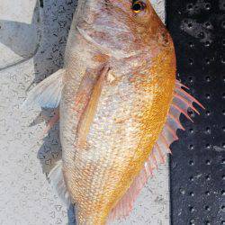 第二龍勢丸 釣果