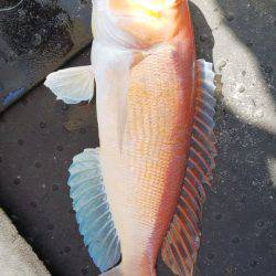 第二龍勢丸 釣果