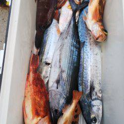 第二龍勢丸 釣果