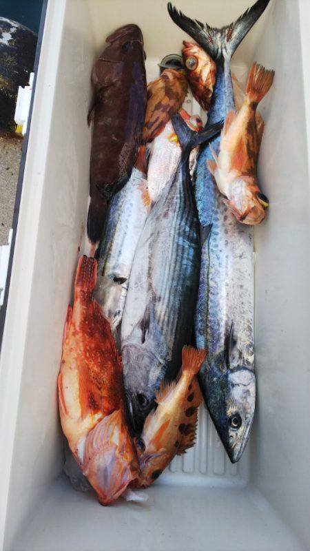 第二龍勢丸 釣果