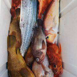 第二龍勢丸 釣果