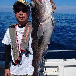 ARCADIAⅡ （アルカディアⅡ） 釣果