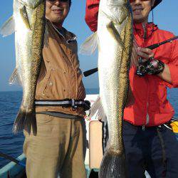 アマテラス 釣果