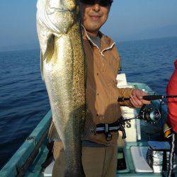 アマテラス 釣果