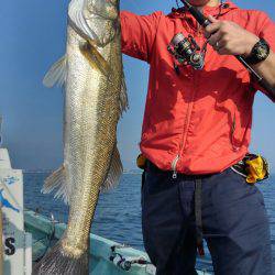 アマテラス 釣果