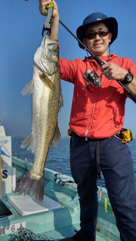 アマテラス 釣果