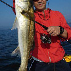 アマテラス 釣果