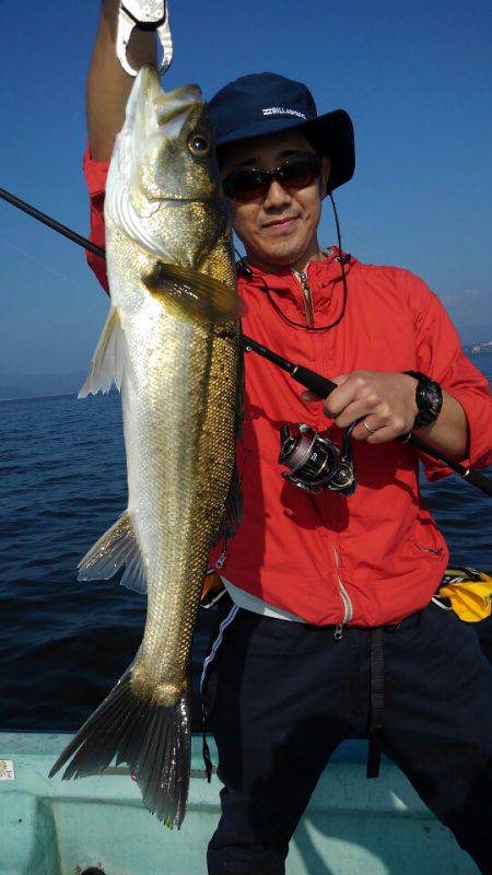 アマテラス 釣果