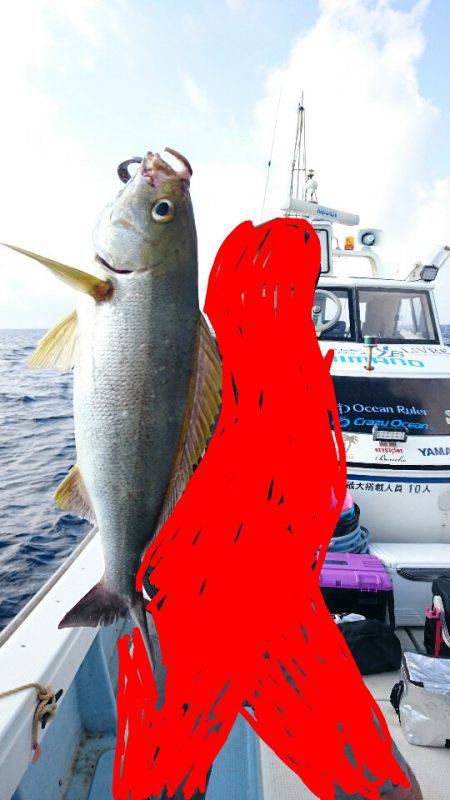 きずなまりん 釣果