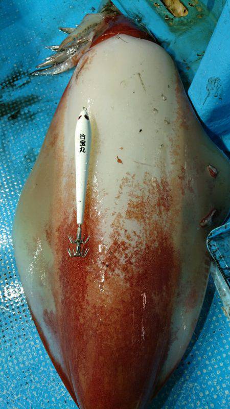竹宝丸 釣果