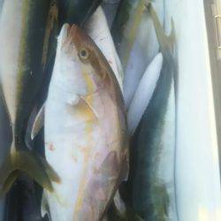 サンマリン 釣果