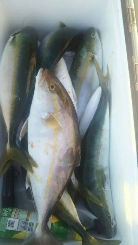 サンマリン 釣果