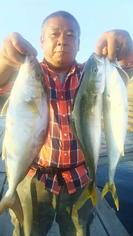 サンマリン 釣果