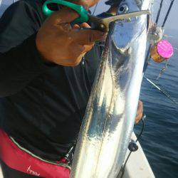 サンマリン 釣果