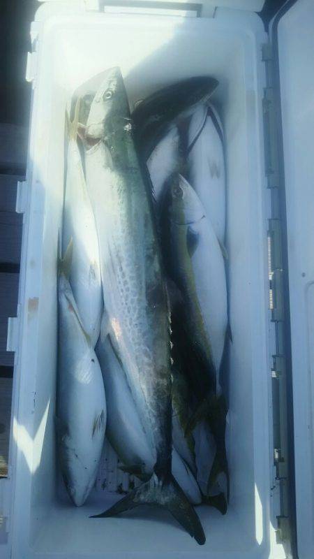 サンマリン 釣果