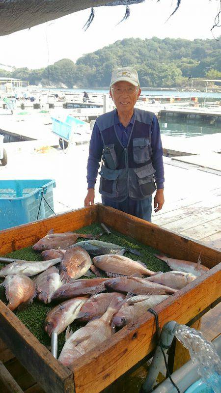海の釣堀 海恵 釣果