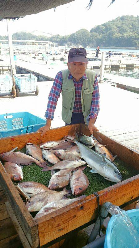 海の釣堀 海恵 釣果