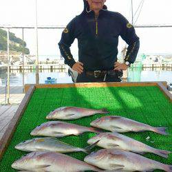 海の釣堀 海恵 釣果