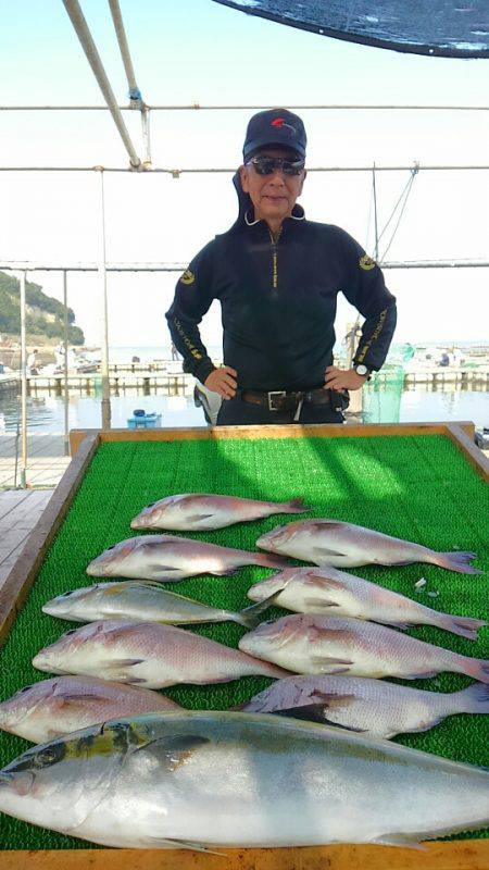 海の釣堀 海恵 釣果