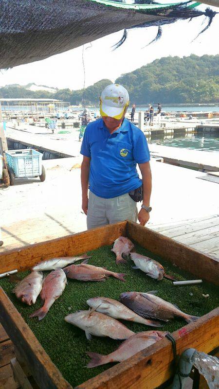 海の釣堀 海恵 釣果