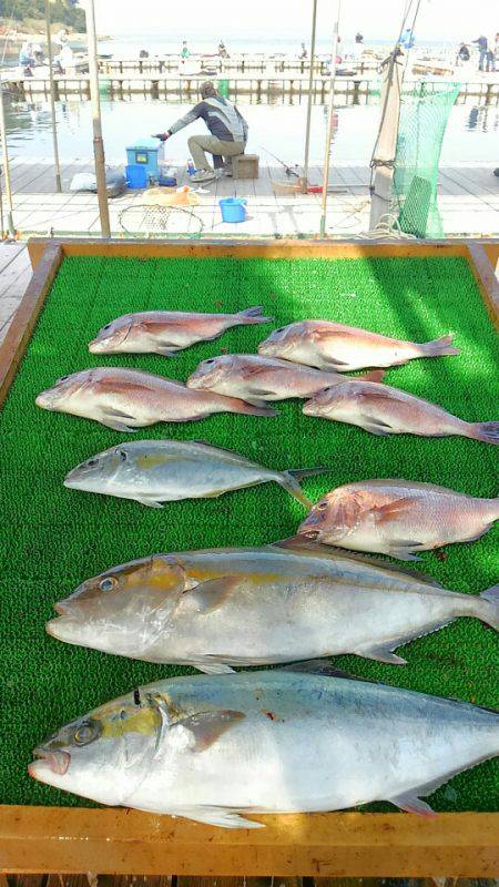 海の釣堀 海恵 釣果