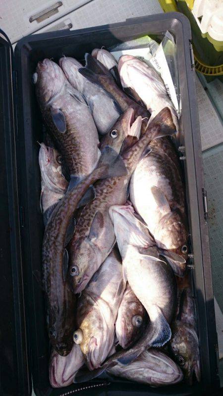 海龍丸（石川） 釣果