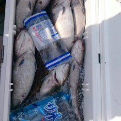 海龍丸（石川） 釣果