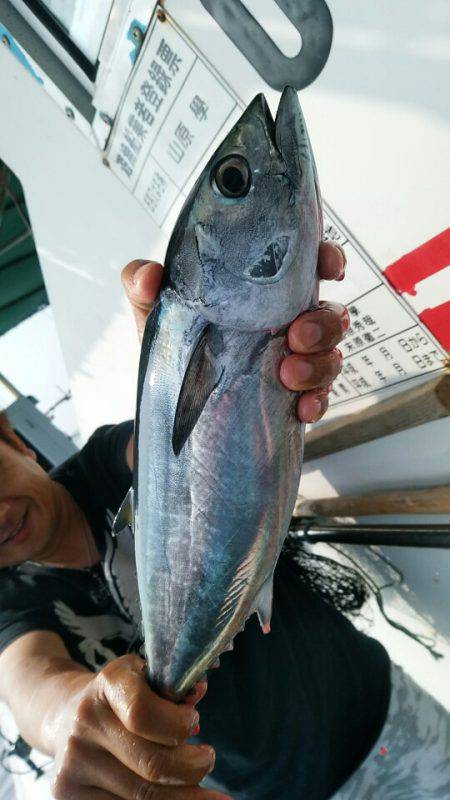 小島丸 釣果